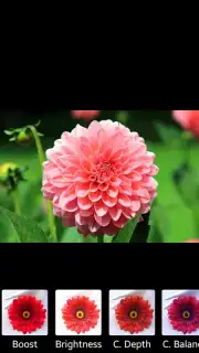 After Effect capture 10