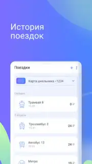 Транспортная карта capture 4