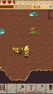 Survival RPG: Open World Pixel capture 2