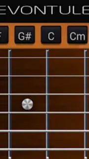 Walk Band capture 2