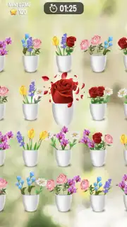 Zen Blossom capture 16