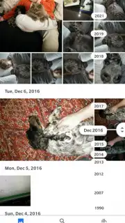 Google Photos capture 4