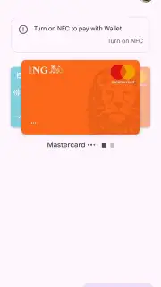 Google Wallet capture 3