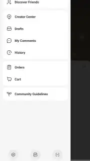 REDnote capture 4