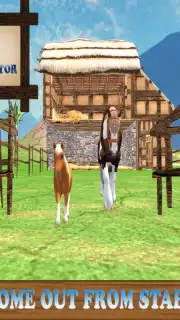 Pony Horse Simulator Kids 3D capture 13