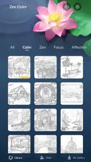 Zen Color capture 16