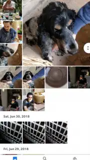 Google Photos capture 5