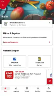 REWE capture 1