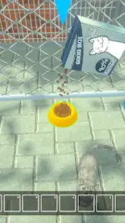 Animal Shelter Pet World Life capture 2