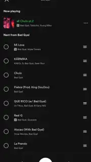 Spotify capture 15