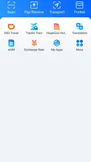 Alipay capture 1
