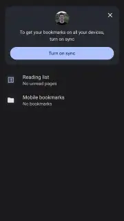 Chrome Beta capture 7