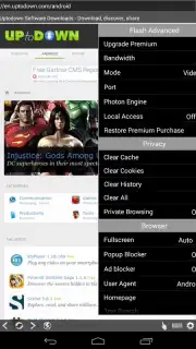 Photon Flash Player and Browser capture 2