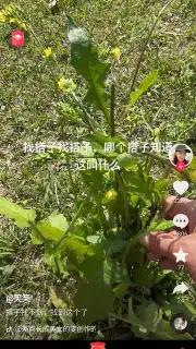 Douyin Express Edition capture 1