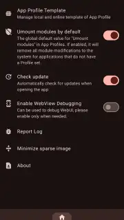 KernelSU capture 4