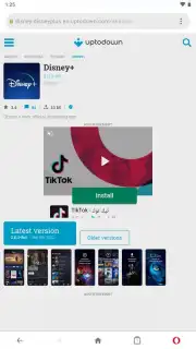 Opera Mini capture 4