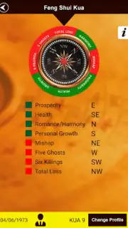 Feng Shui Compass capture 3