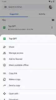 Google Drive capture 2