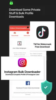 Video Downloader Pro capture 3