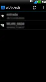 WLANAudit capture 3