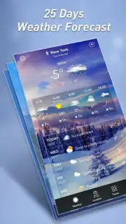 Local Weather Widget capture 4