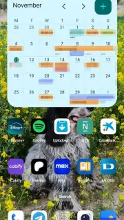 Google Calendar capture 8