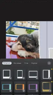 ProCCD capture 8