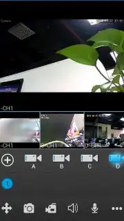 N_EYE capture 1