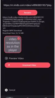 VidMad Video Downloader capture 3