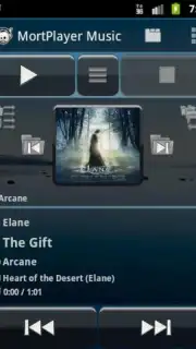 MortPlayer Music capture 2