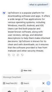 DeepSeek capture 8