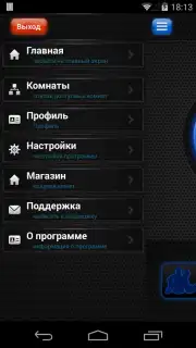 Теневой чат capture 5