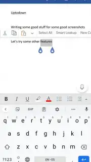 Microsoft Word capture 7