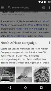 Wikipedia capture 3