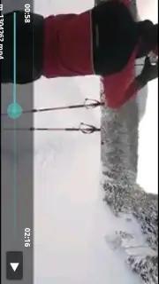 Fastest Video Downloader capture 2