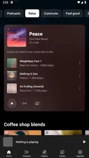 YouTube Music (Android TV) capture 13