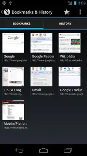 Tint Browser capture 3