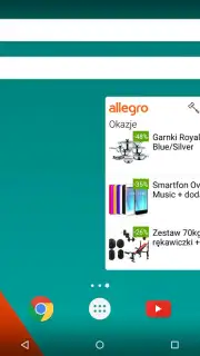 Allegro capture 2