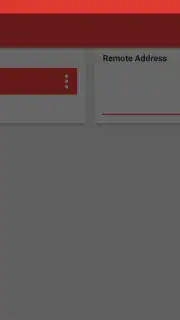 AnyDesk capture 4