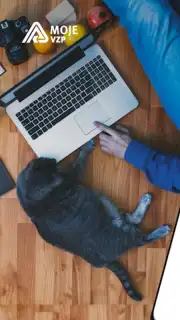 Moje VZP capture 7