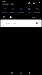 Fast Browser capture 2