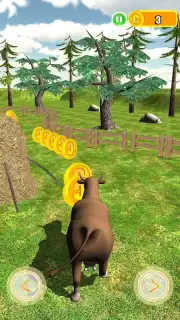 Cow Farm capture 5