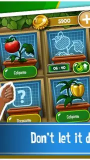 Shake Islands capture 2
