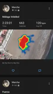 Garmin Connect capture 18