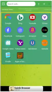 Browser Leopard capture 1