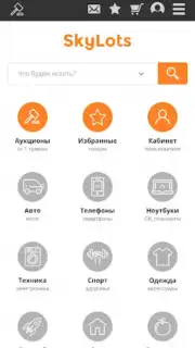SkyLots: аукцион и маркетплейс capture 4