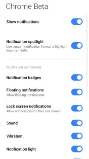 Chrome Beta capture 12