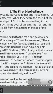 Bible Stories for Children capture 2
