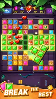 Block Puzzle capture 3