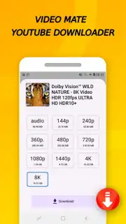 Vidora YouTube Downloader | free & fast capture 13